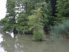 phoca_thumb_l_l004.jpg