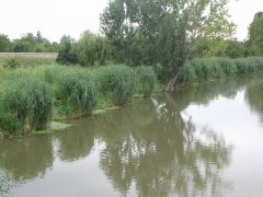 phoca_thumb_l_l007.jpg