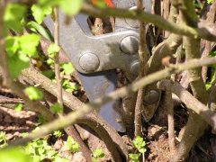 phoca_thumb_l_l002.jpg