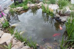 phoca_thumb_l_33.jpg
