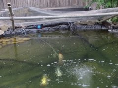phoca_thumb_l_l003.jpg