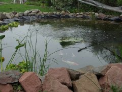 phoca_thumb_l_l004.jpg