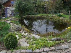 phoca_thumb_l_l005.jpg